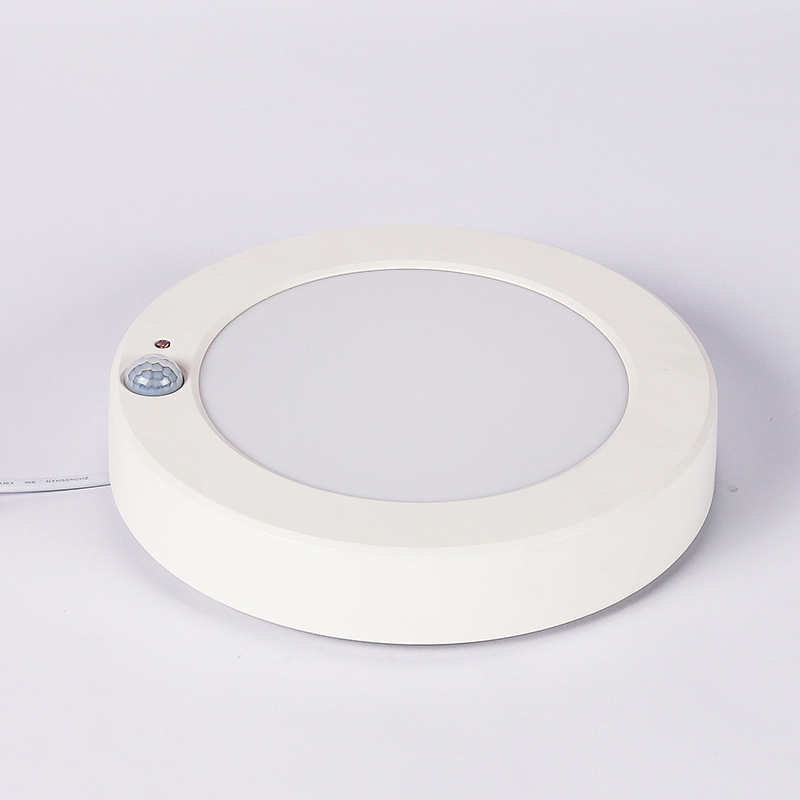 1. 240mm PIR sensor round led panel