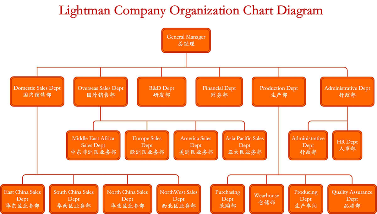 Lightman Company Organization Structure Diagram-English