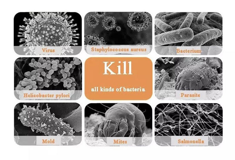 4.uvc ýagtylygy wirusy we bakteriýalary öldürip biler
