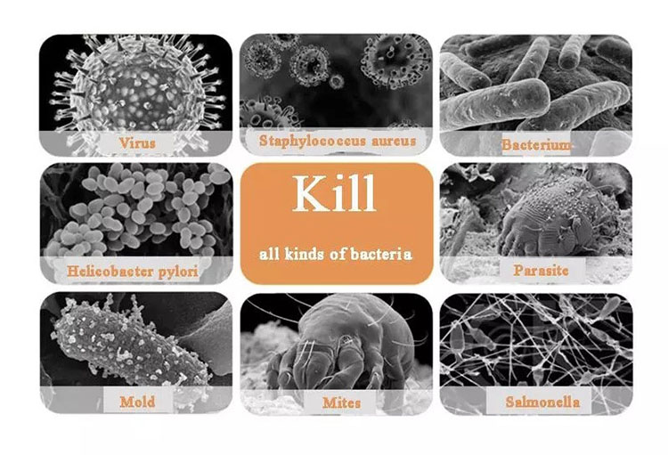 La lumière 4.uvc peut tuer les virus et les bactéries