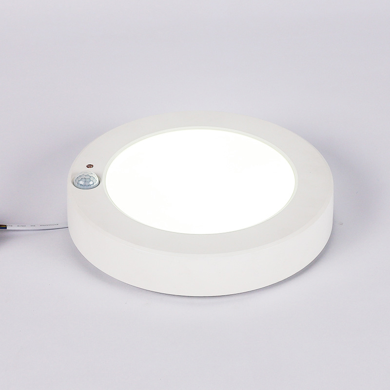 4. PIR sensor round surface panel light