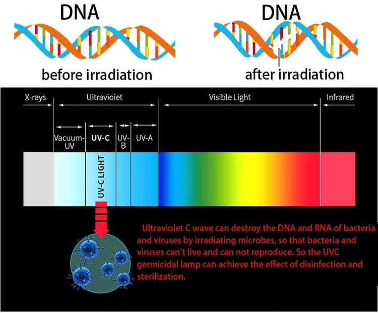 6.UV wavelength spectrum