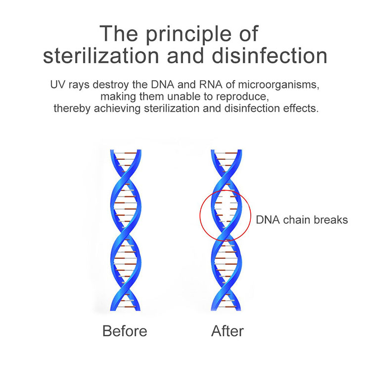 8.lampara desinfecção uv distroy detalhes do produto DNA