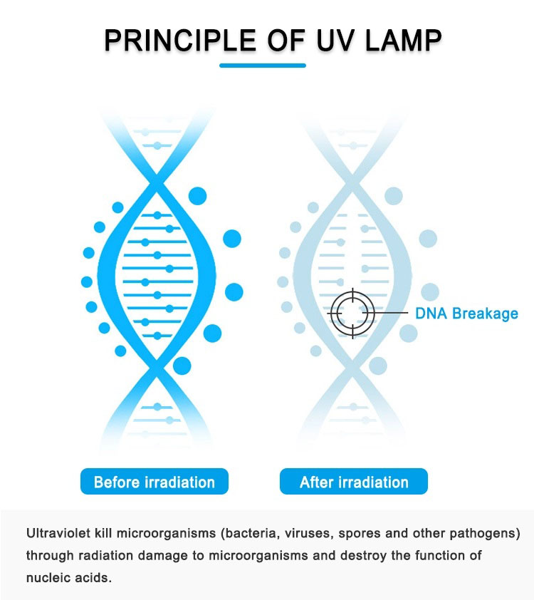 10.infrared endiksyon lanp UV dezenfektan