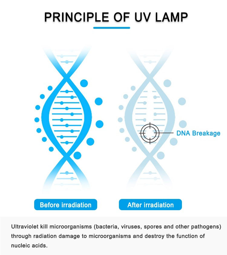 10. infrarood inductielamp uv-desinfectiemiddel