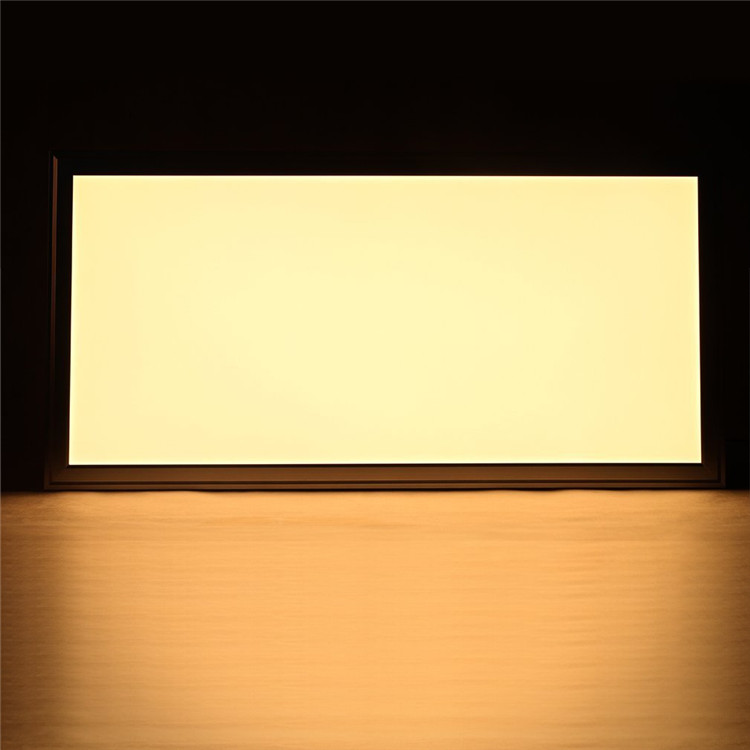 5. 30x60 led panel